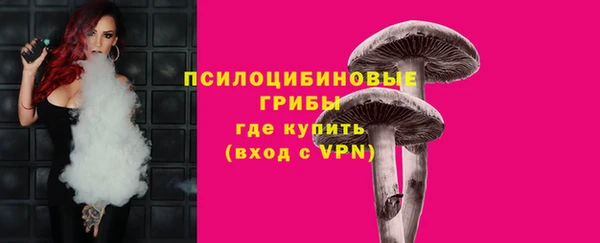 дмт Алексин