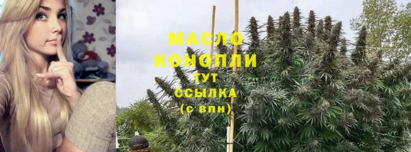дмт Алексин